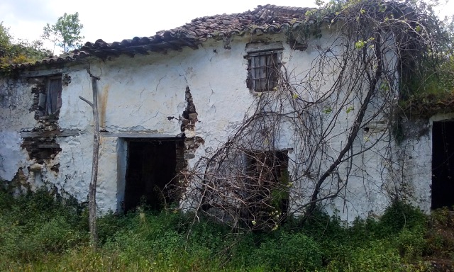 Finca enveloped in Visteria outside Júzcar. Photo © snobb.net